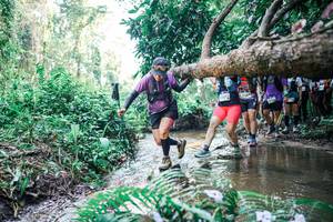 BIB: 
                            <button type="button" onclick="openModal(25465917)" class="btn btn-primary btn-sm float-right btn-popup" data-toggle="modal" data-target=".modal-high-quality">
                        <i class="fas fa-shopping-cart"></i> Add to Cart
                    </button>
                                            <button type="button" onclick="isThisMe(25465917, true)" class="btn btn-success btn-sm float-right btn-popup btn-isme hidden" data-toggle="tooltip" data-placement="bottom" title="นี่คือรูปของคุณใช่ไหม คลิกที่นี่เพื่อเอาเข้าอัลบั้ม">
                        <i class="fas fa-plus"></i> Add to album
                    </button>
                    <button type="button" onclick="isThisMe(25465917, false)" class="btn btn-warning btn-sm float-right btn-popup btn-isnotme hidden">
                        <i class="fas fa-ban"></i> Remove from album
                    </button>